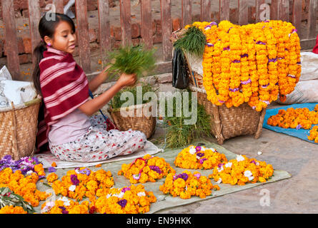 Ils utilisent des fleurs pour les offrandes dans les temples. Durbar Square, Katmandou, Népal. Banque D'Images