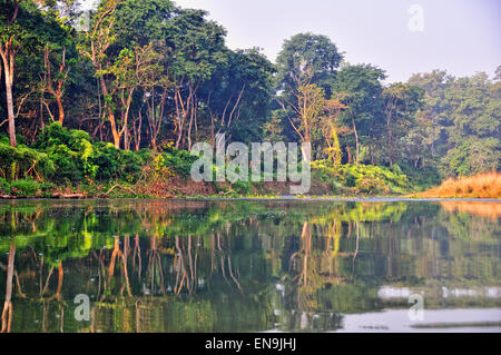 Parc national royal de Chitwan ('Chitwan" signifie "au coeur de la jungle") couvre 932 km2. Banque D'Images