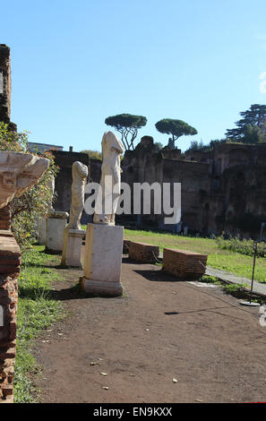 L'Italie. Rome. Forum romain. Maison des vestales. Des statues. Banque D'Images