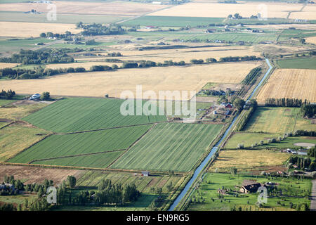 Une vue aérienne des terres agricoles avec des canaux d'irrigation, d'inondation, et les sprinkleurs pivot d'arrosage des champs. Banque D'Images