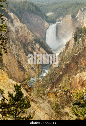 Yellowstone Falls, dans le grand canyon de Yelloswtone Parc national. Prises d'artistes point. Banque D'Images