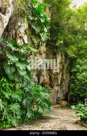 La vallée de Vinales Cuba Valle Palenque de los Cimmarrones entrée de Cueva de San Miguel refuge une fois les esclaves fugitifs cimarrones Banque D'Images