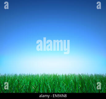 Paysage : l'herbe verte, ciel bleu clair Banque D'Images