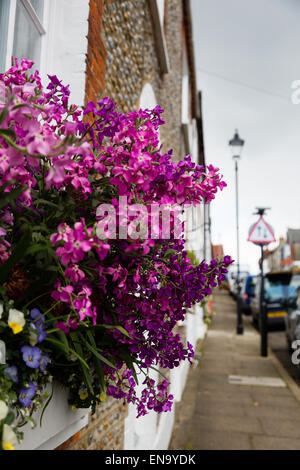 Arundel, UK. 30 avril, 2015. Arrangement de fleurs à Arundel. Crédit : Dave Stevenson/Alamy Live News Banque D'Images