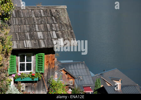 Holzhütte mit Fenster, Blumen und grünen Fensterläden über Hallstatt, Salzkammergut, Autriche Banque D'Images