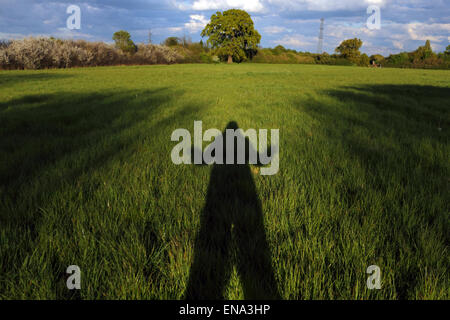 Surrey England UK Tolworth. 30 avril 2015. Ne cherchez pas les mains ! L'ombre du photographe avec le soleil derrière. À la fin d'une autre belle journée à Surrey, le soleil du soir éclaire les verts vifs des champs à Tolworth Court Farm Réserve Naturelle. Credit : Julia Gavin UK/Alamy Live News Banque D'Images