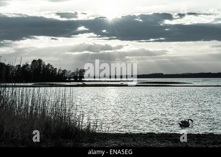 Le lever du soleil sur le lac tranquille dans b-w Banque D'Images