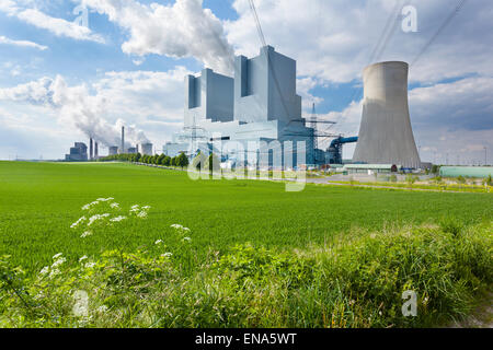 Une nouvelle centrale électrique au lignite derrière un champ avec quelques fleurs en premier plan et une autre station d'alimentation à l'arrière-plan Banque D'Images