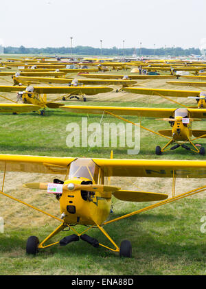 Piper J-3 Cub sur l'affichage à l'EAA Airventure Oshkosh, Wisconsin, Airshow. Banque D'Images