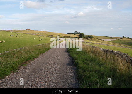 High Peak Trail dans le Derbyshire en Angleterre, ligne de chemin de fer désaffectée Peak District English National Park paysage de campagne britannique, à Minninglow Banque D'Images