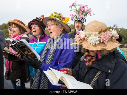 Hemel Hempstead, Royaume-Uni. 1er mai 2015. 24 mai madrigaux sont chantés par le Chœur de chambre de Chiltern, à l'aube, sur le toit de l'église St Pierre à Berkhamsted, Hertfordshire, Angleterre le 1 mai 2015. Le choeur est dirigé par Adrian Davis (en blanc smock). Un madrigal est forme de la musique de chambre vocale séculaire, chanté ici pour célébrer l'aube du premier mai. (Photo de David Levenson/Alamy Live News) Banque D'Images