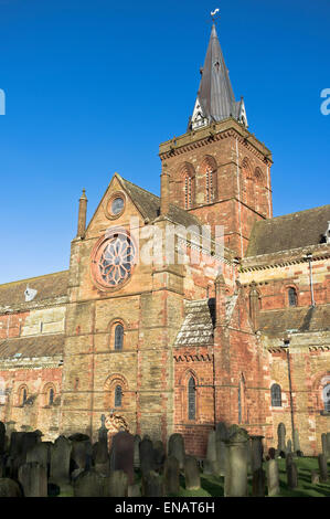 Dh St Magnus Cathedral KIRKWALL ORKNEY cimetière église cathédrale rosace Banque D'Images