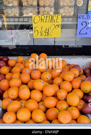 Un signe à un supermarché indien à Jackson Heights Queens New York avec un mot mal orthographié Banque D'Images