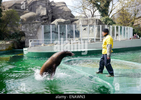 Le spectacle au Zoo de Budapest, Hongrie Banque D'Images
