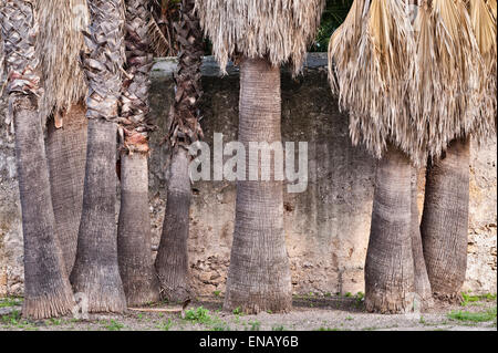 Sicile, Italie - les jardins de San Giuliano près de Catane. Banque D'Images