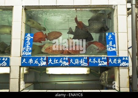 dh marché chinois réservoirs de poissons MARCHÉS HONG KONG pour la vente chine marchés vivants de poissons humides Banque D'Images