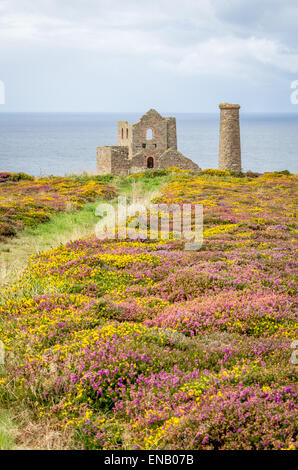 Papule coates tin min ruines à Cornwall england uk Banque D'Images