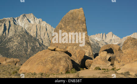 Mt. Whitney (droite,l'arrière-plan) et de la Sierra Nevada cimier de l'Alabama Hills, Owens Valley, Californie Banque D'Images