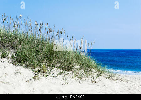 L'herbe des dunes et de la plage, Outer Banks, Caroline du Nord, États-Unis Banque D'Images