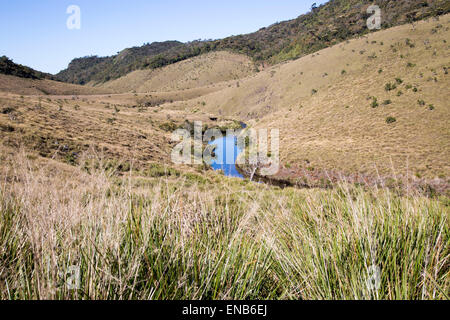 Petite rivière sinueuse Belihul Oya en vallée en forme de V, le Parc National de Horton Plains, Province du Centre, au Sri Lanka, en Asie Banque D'Images