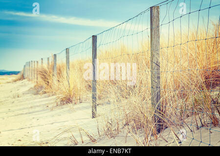 Clôture sur une dune, fond nature, profondeur de champ. Banque D'Images