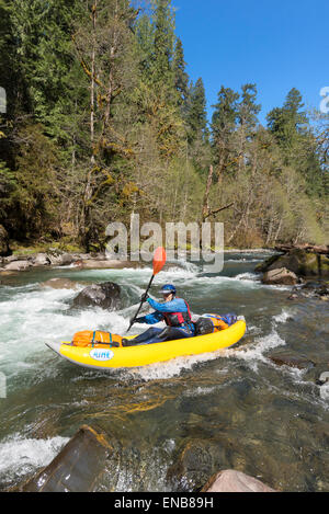 Au milieu de la fourche de la rivière Santiam, Oregon. Banque D'Images