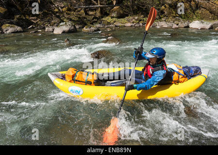 Au milieu de la fourche de la rivière Santiam, Oregon. Banque D'Images