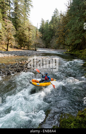 Au milieu de la fourche de la rivière Santiam, Oregon. Banque D'Images