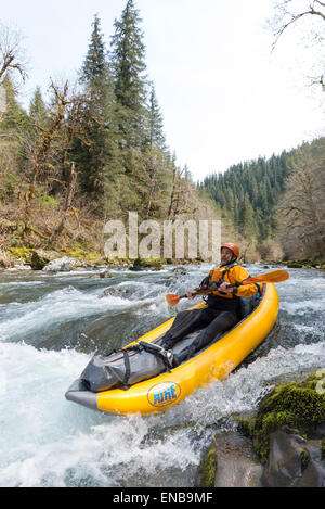 Au milieu de la fourche de la rivière Santiam, Oregon. Banque D'Images