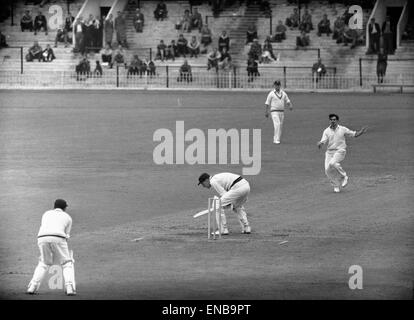 Championnat du comté de 1959. Yorkshire v Lancashire à Bramall Lane, Sheffield. Fred Trueman de Yorkshire offre un videur de Geoff Pullar. 1er août 1959. Banque D'Images