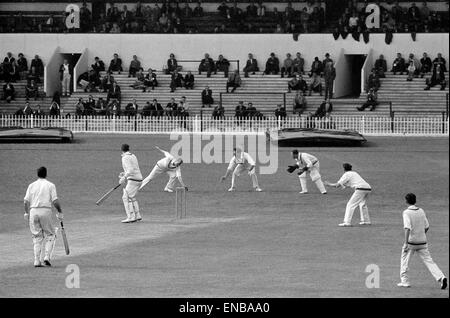 County Championship 1964 Yorkshire v Derbyshire à Bramall Lane, Sheffield. Lee fields un snick de Nicholson sur le bowling de Rhodes. 26 mai 1964. Banque D'Images