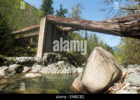 Journal de l'effondrement d'une poutre de pont pont sur l'ancienne route d'exploitation dans l'Oregon. Banque D'Images