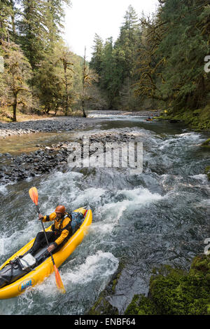Au milieu de la fourche de la rivière Santiam, Oregon. Banque D'Images