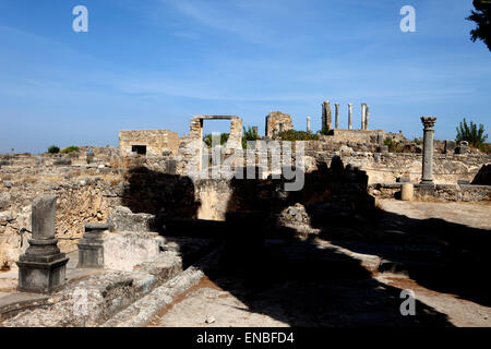 Volubilis, Ruines Romaines, Maroc Banque D'Images