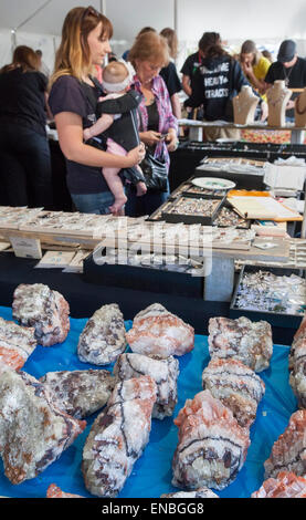 Denver, Colorado - Le Colorado Mineral and Fossil Show. Banque D'Images