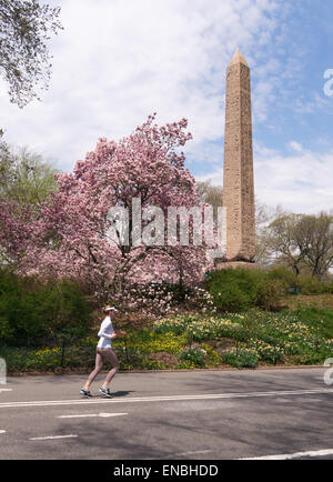 Vue de jogging femme printemps passé l'obélisque égyptien dans Central Park, NYC, USA Banque D'Images