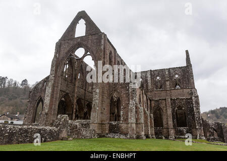 Abbaye de Tintern la deuxième fondation cistercienne en Grande-Bretagne Banque D'Images