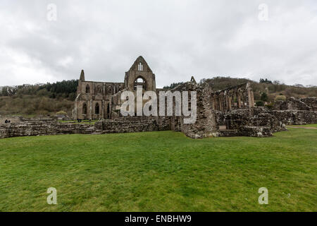 Abbaye de Tintern la deuxième fondation cistercienne en Grande-Bretagne Banque D'Images