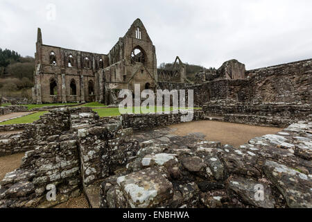 Abbaye de Tintern la deuxième fondation cistercienne en Grande-Bretagne Banque D'Images