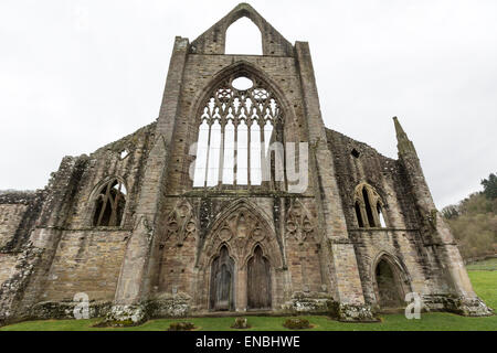 Abbaye de Tintern la deuxième fondation cistercienne en Grande-Bretagne Banque D'Images