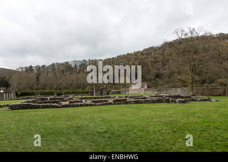 Vestiges de l'abbaye de Tintern la deuxième fondation cistercienne en Grande-Bretagne Banque D'Images