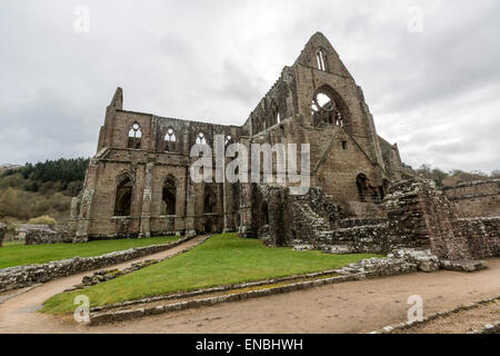 Abbaye de Tintern la deuxième fondation cistercienne en Grande-Bretagne Banque D'Images