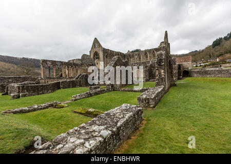 Reste du mur de l'abbaye de Tintern, la seconde fondation cistercienne en Grande-Bretagne Banque D'Images