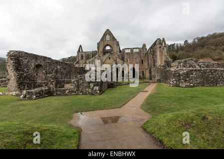 Abbaye de Tintern la deuxième fondation cistercienne en Grande-Bretagne Banque D'Images