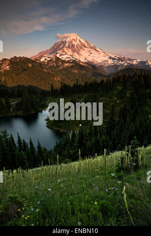 WA10550-00...WASHINGTON - Vue du Mont Rainier et Eunice Lac au coucher du soleil de Tolmie pic dans Mount Rainier National Park. Banque D'Images