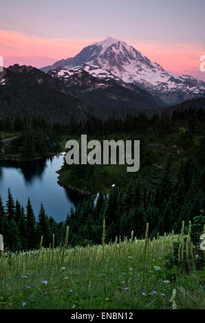 WA10553-00...WASHINGTON - Vue du Mont Rainier et Eunice Lake de Tolmie pic dans le Parc National de Mount Rainier. Banque D'Images