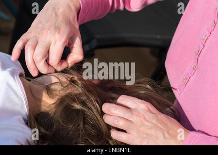 Mère à la recherche de poux de tête à sa petite fille à la lumière du soleil Banque D'Images