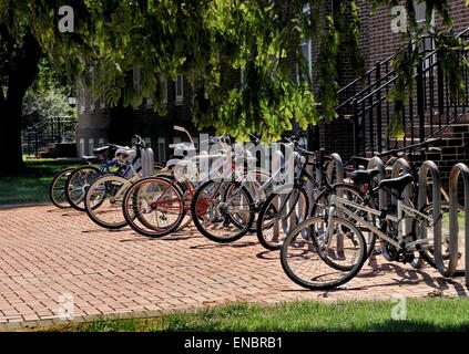 Des vélos sur rack Banque D'Images