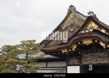 Au Palais Ninomaru Château Nijō, Kyoto, Japon. Banque D'Images