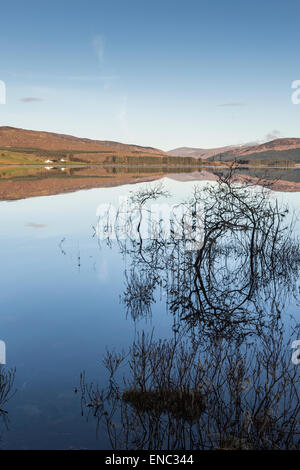 Clatteringshaws Loch dans le Galloway Forest Park en Ecosse. Banque D'Images